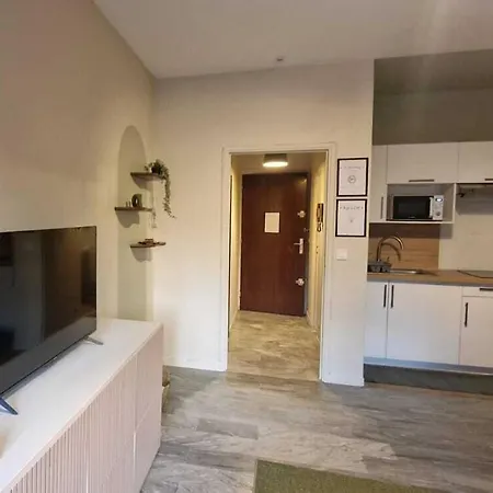 Apartman Relax In Zen Studio, Air Conditioning, Sea On Foot Nizza